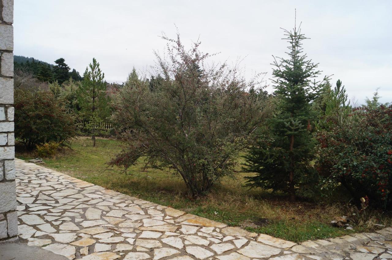 אראחובה Parnassos Chalets מראה חיצוני תמונה